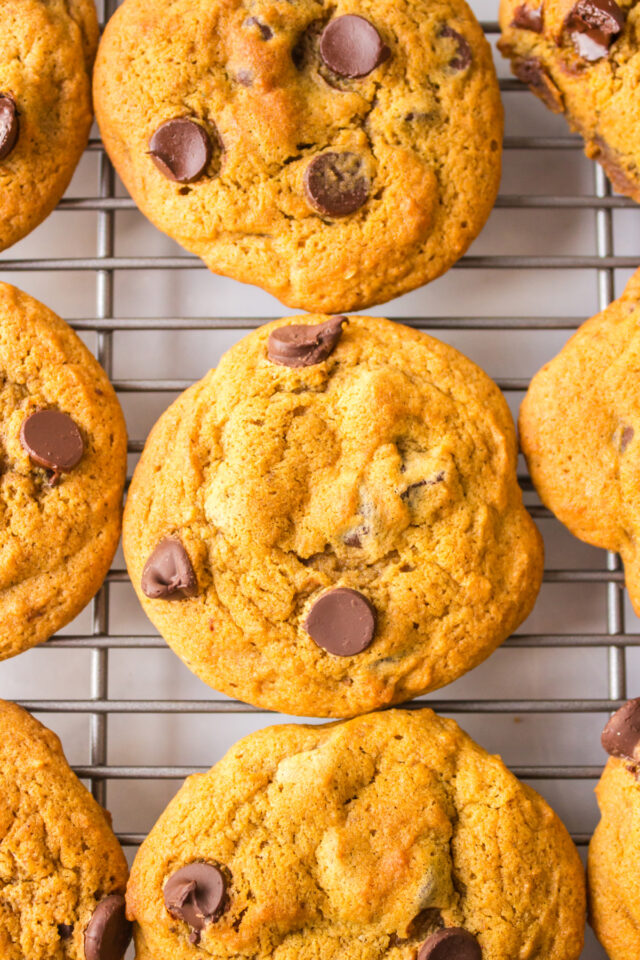 Pumpkin Chocolate Chip Cookies Recipe Boy
