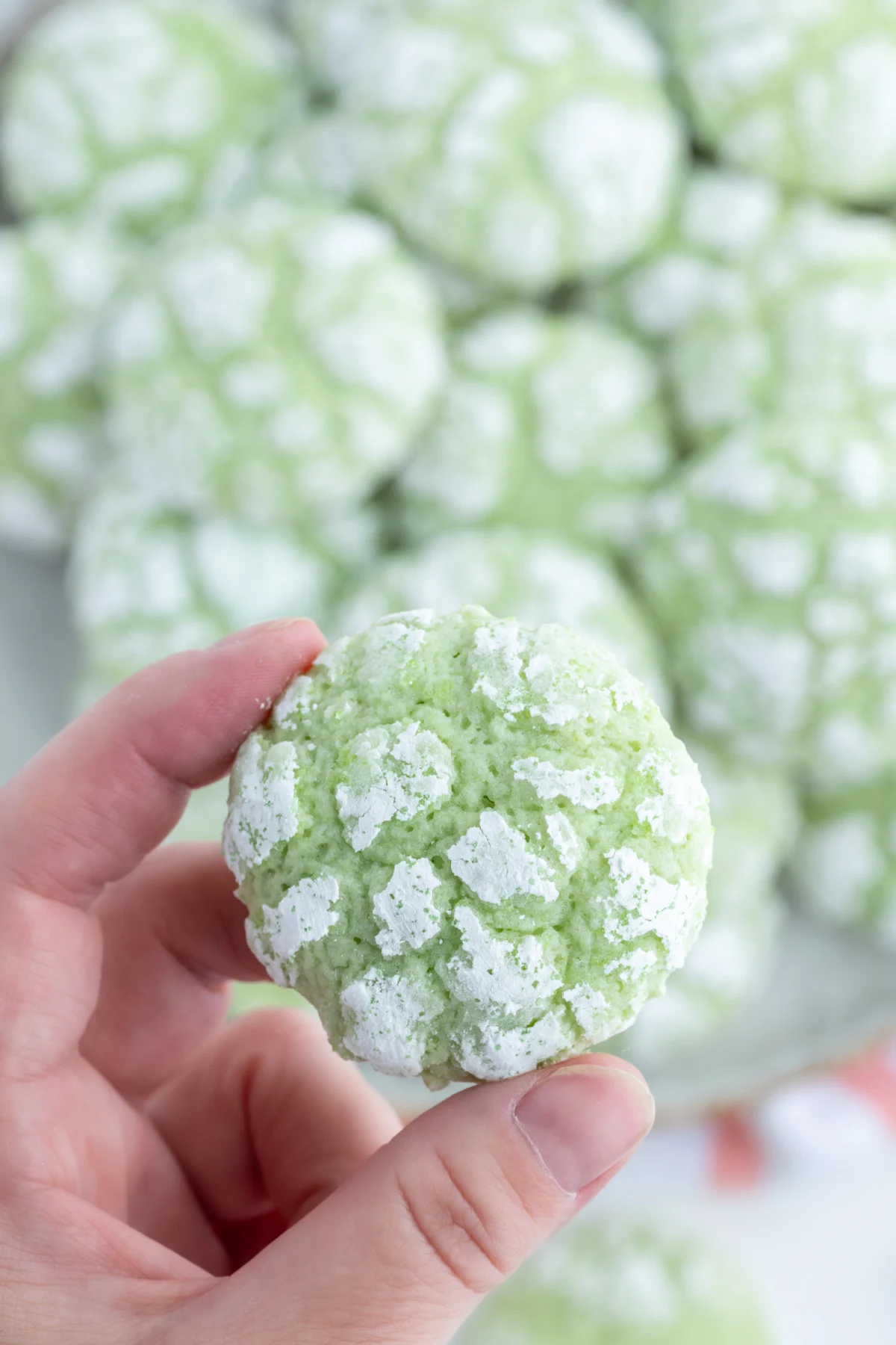 hand holding one lime crackle cookie