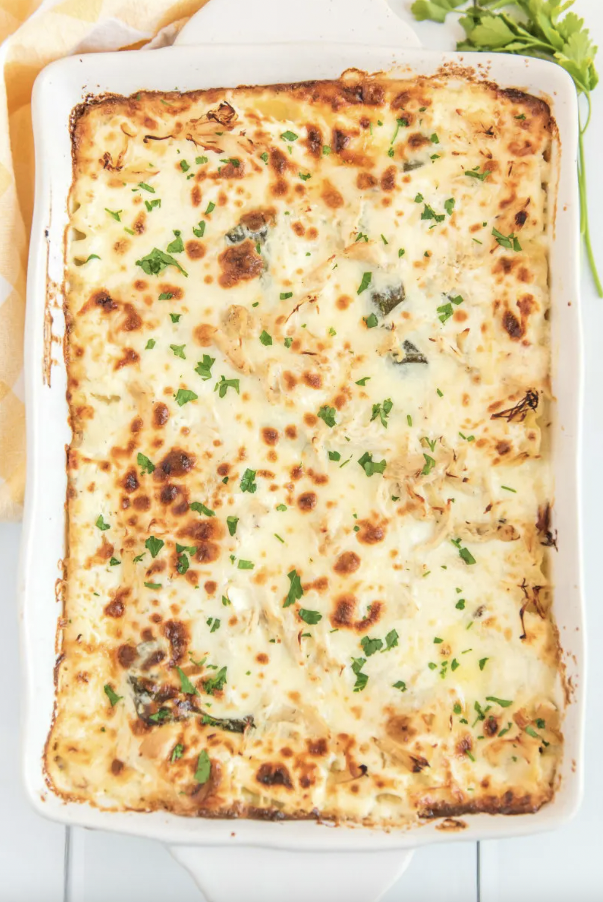 white chicken lasagna in a baking dish