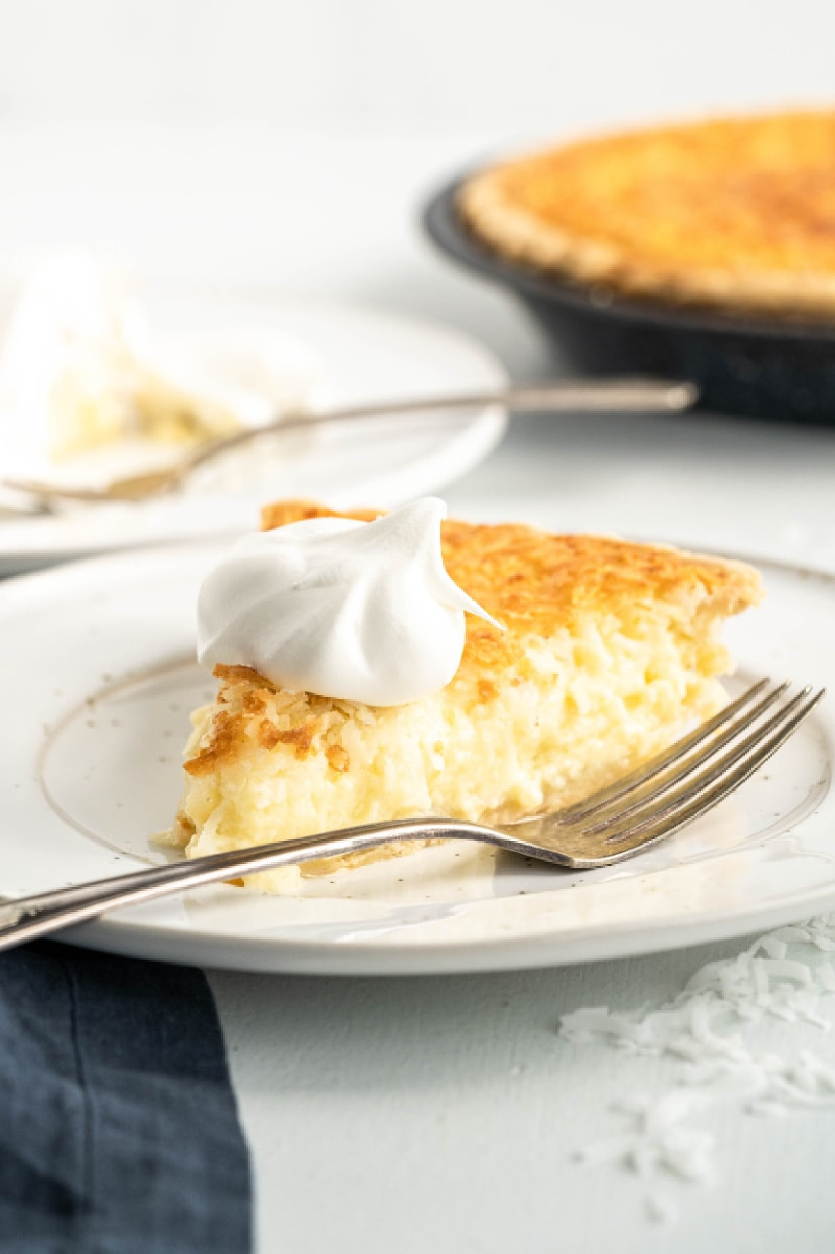 slice of coconut custard pie