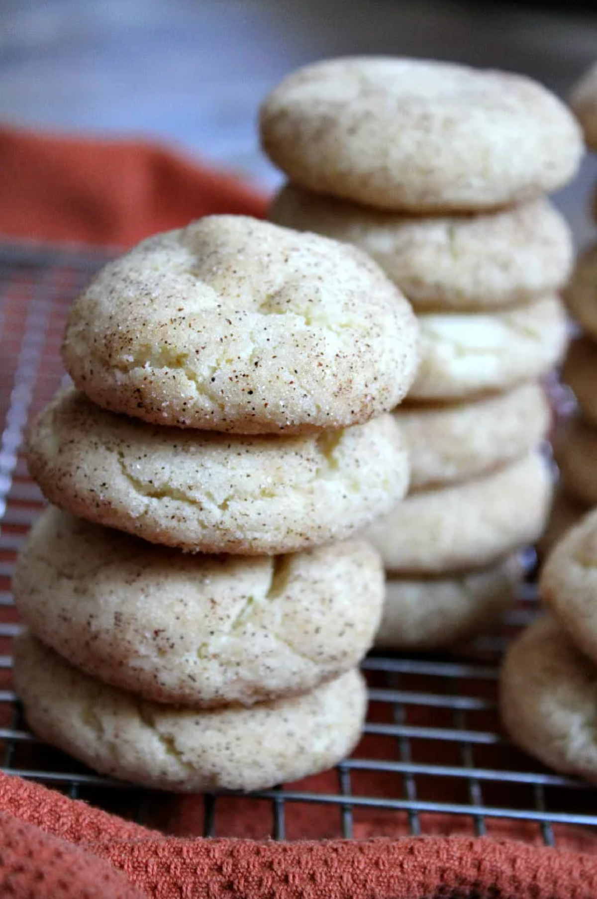 stacks of cake mix snickerdoodles