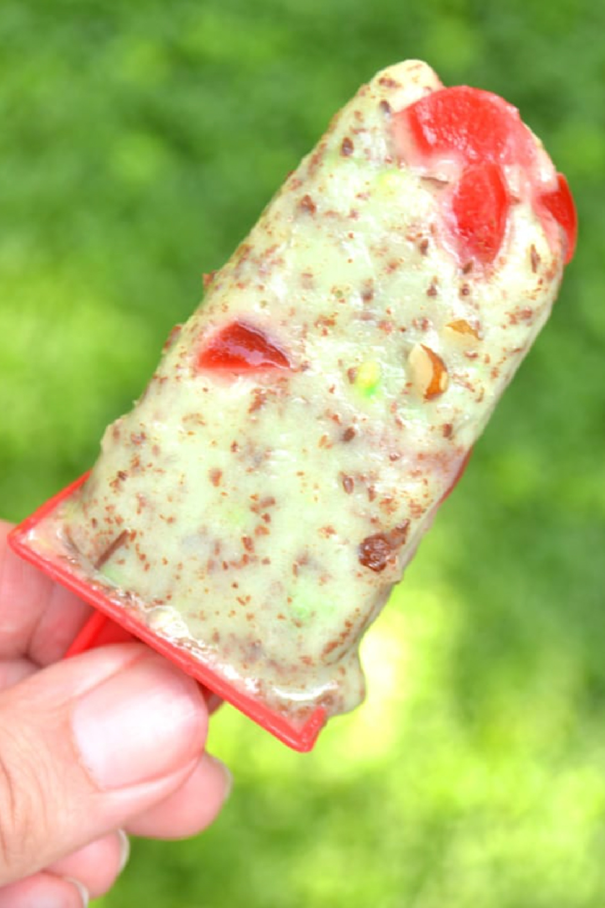 hand holding spumoni pudding pop