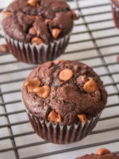 best chocolate muffins cooling on cooling rack