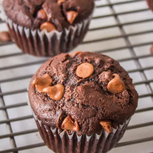 best chocolate muffins cooling on cooling rack