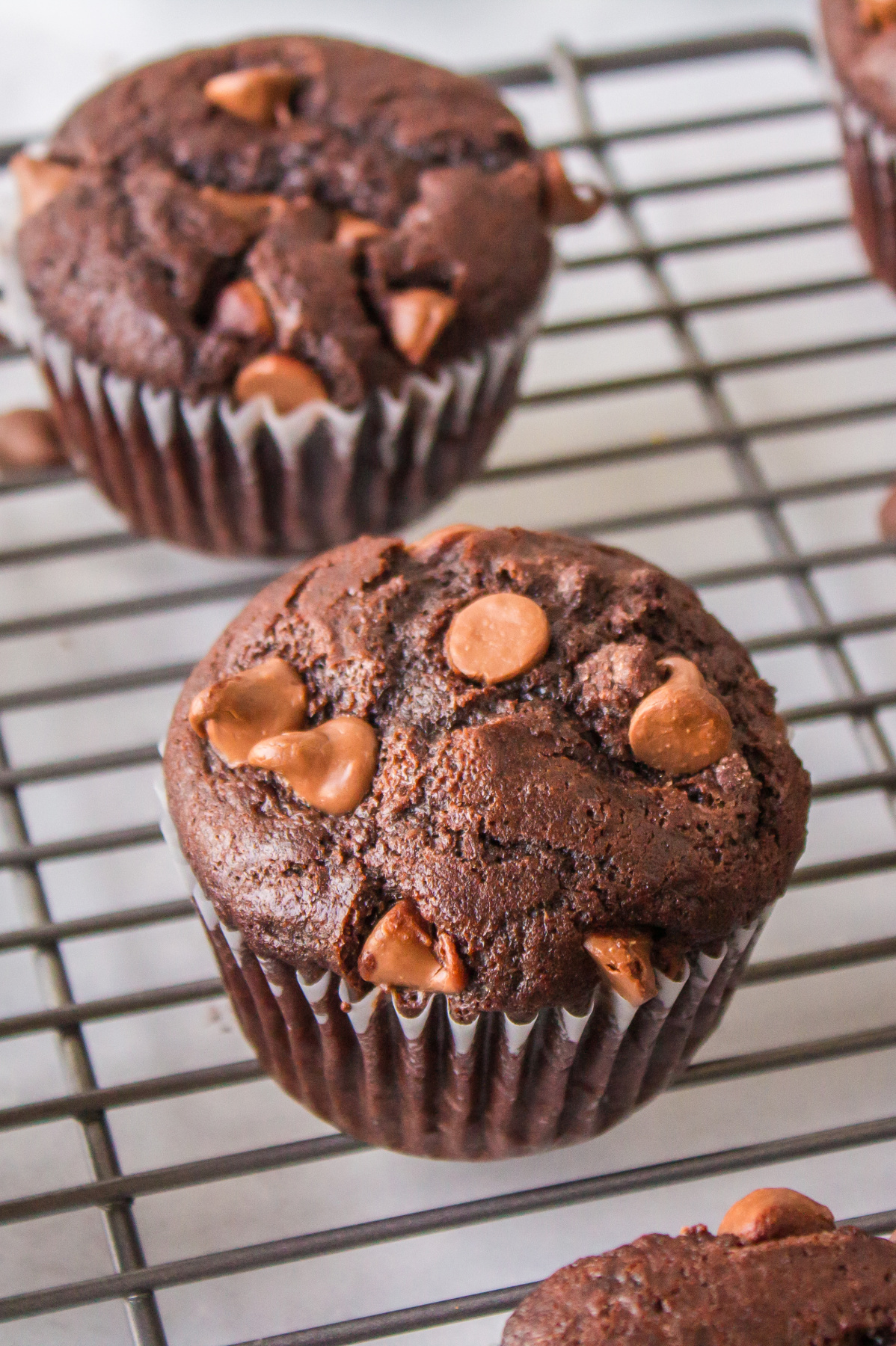 best chocolate espresso muffins cooling on cooling rack