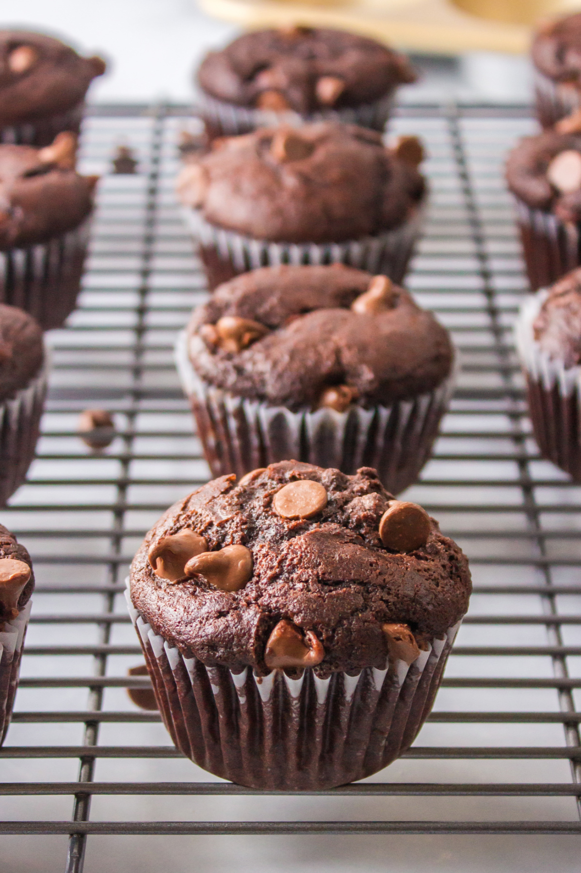 best chocolate espresso muffins on cooling rack