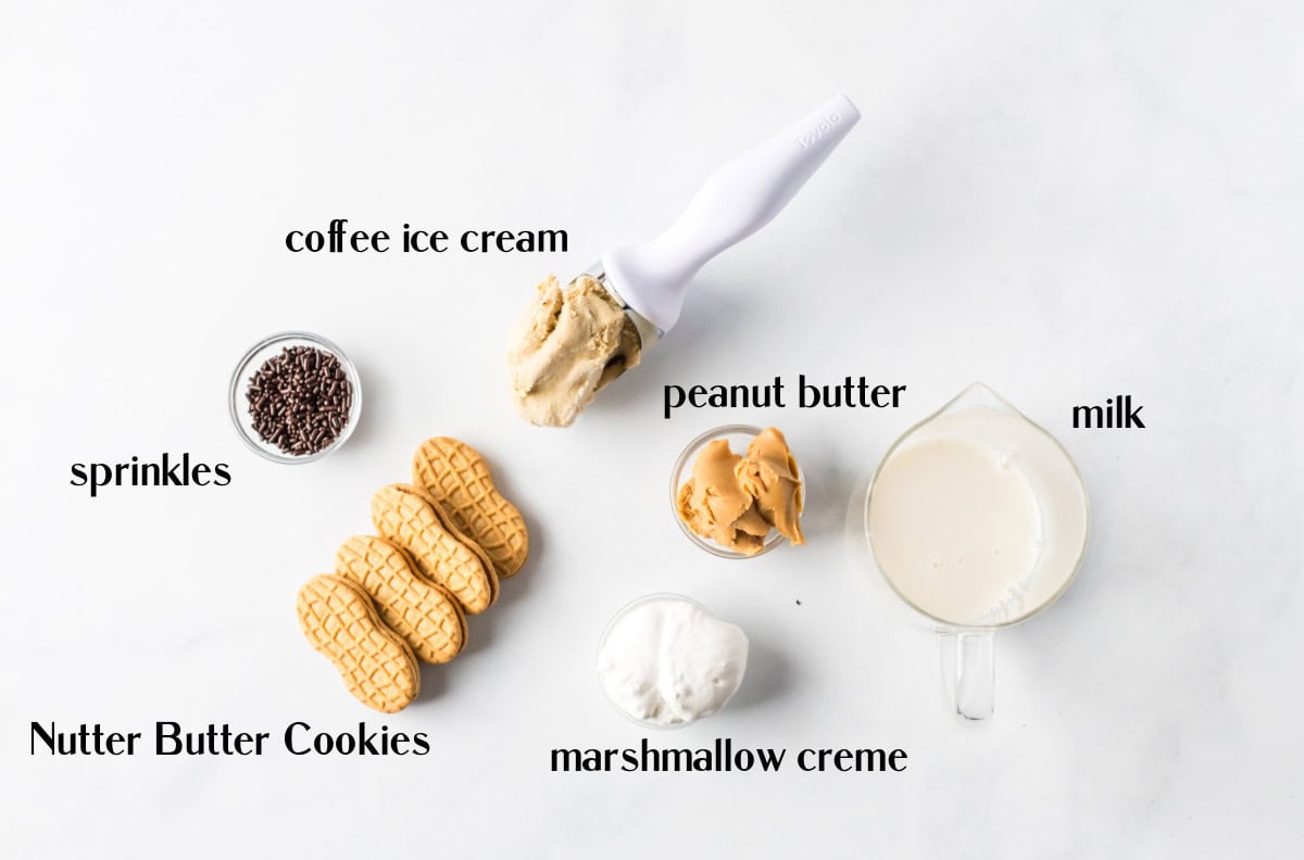 ingredients displayed for making coffee milkshakes