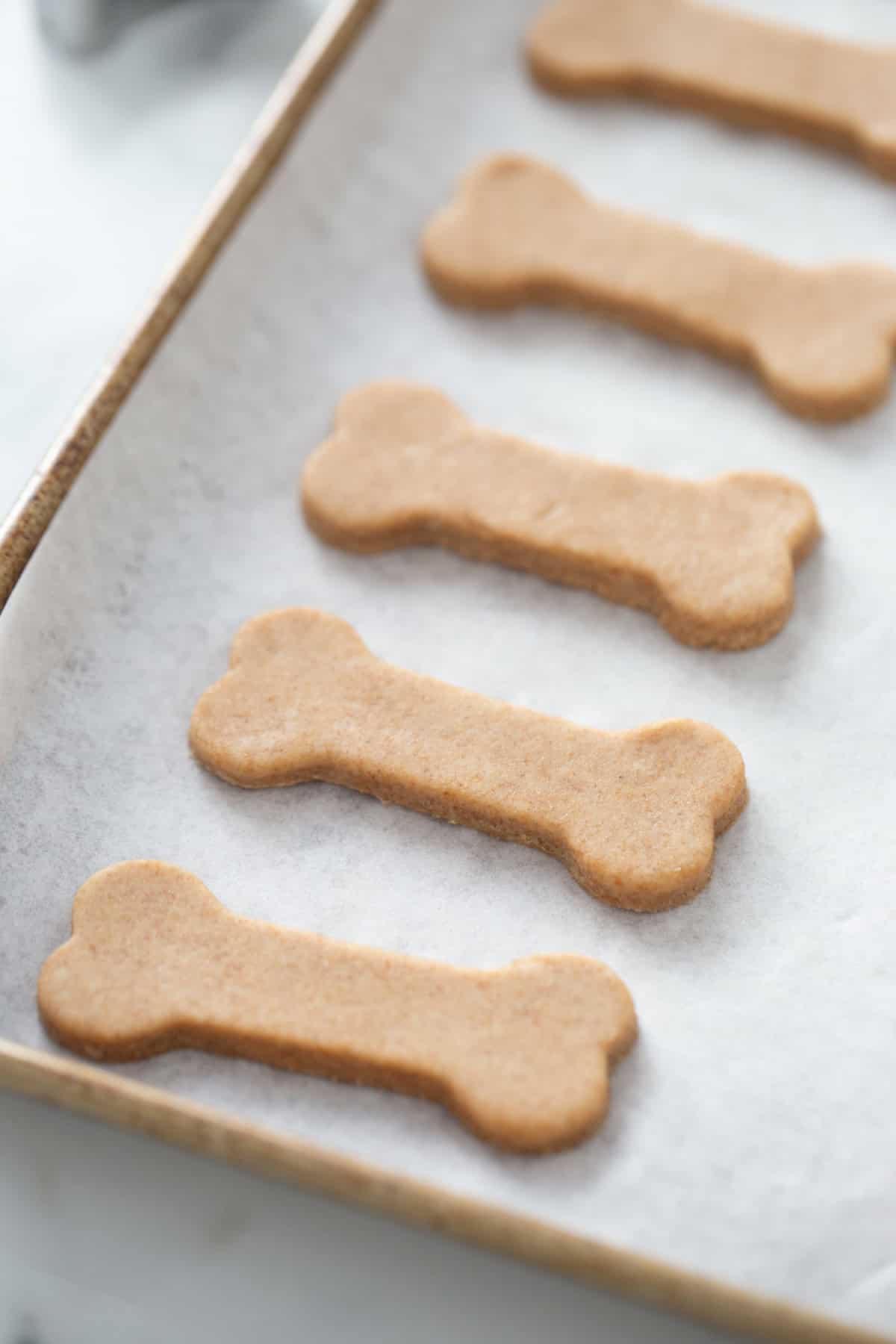 peanut butter dog biscuits laid out on baking sheet ready to be baked