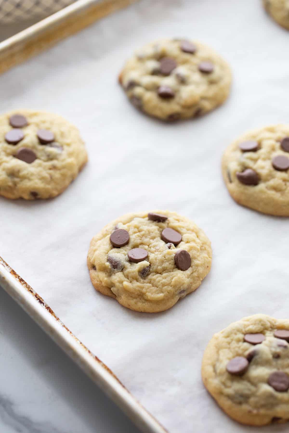 chocolate chip pudding cookies on baking sheet just out of oven