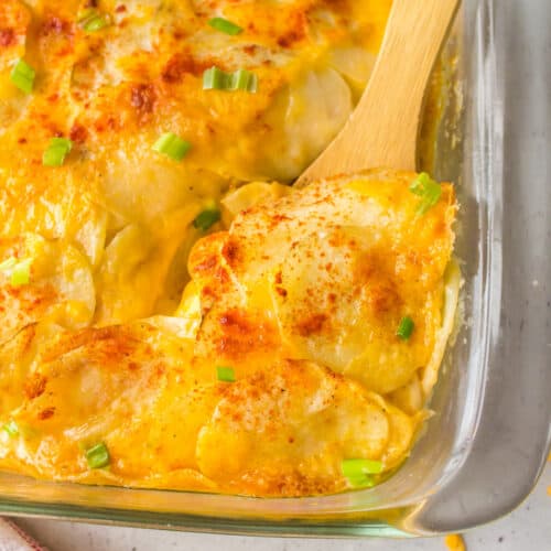 microwave scalloped potatoes in pan with spoon