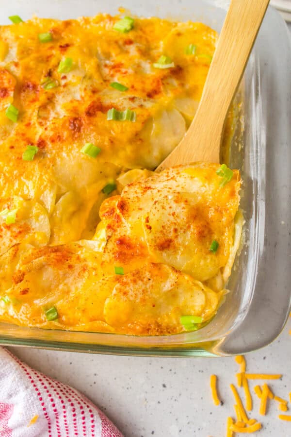 microwave scalloped potatoes in pan with spoon