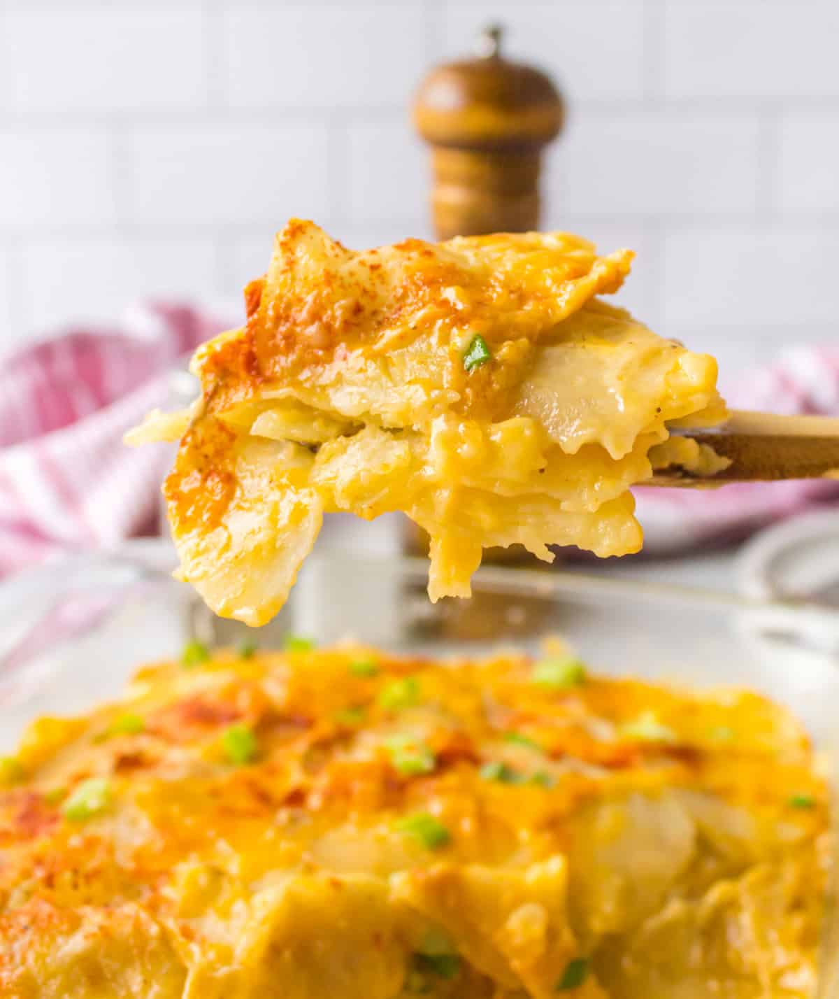 These Microwave Scalloped Potatoes are creamy, cheesy, and ready fast—no oven required! The perfect easy potato side dish. big spoonful of scalloped potatoes