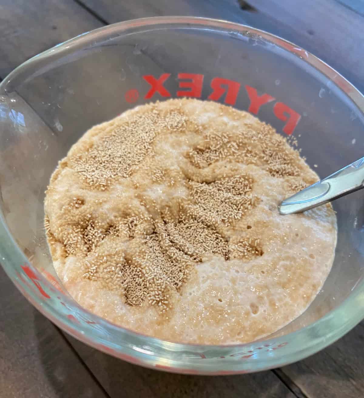 yeast blooming in bowl