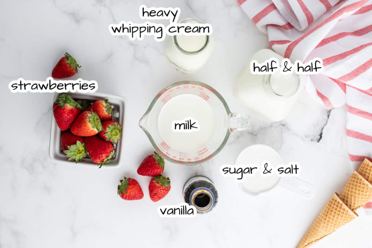 Homemade Strawberry Ice Cream